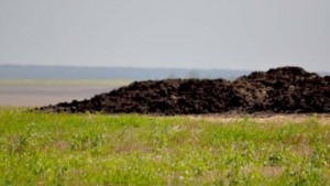 Миризмата е идвала от 300 кубика тор край Недоклан