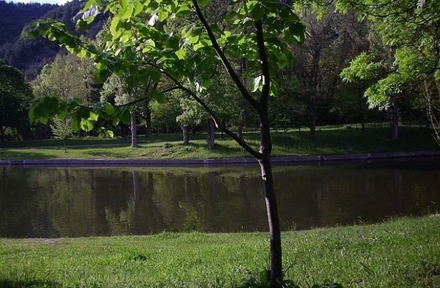 Пускат нови 60 патици в езерото на парк „Бачиново“ в Благоевград