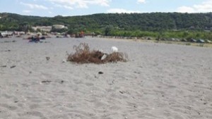 Плажът на Аспарухово вече с концесионер