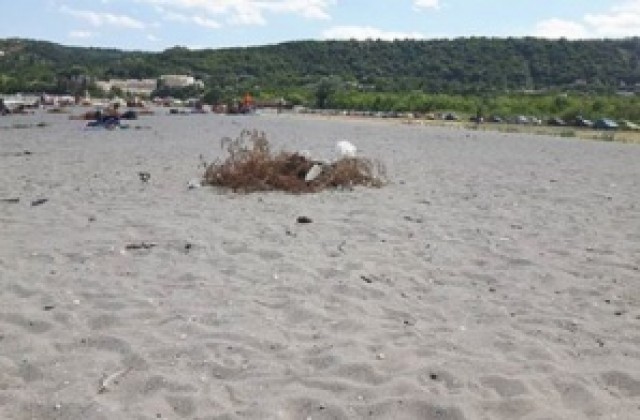 Плажът на “Аспарухово” вече с концесионер