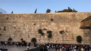 Как историята учи на толерантност разказват габровски ученици посетили Израел