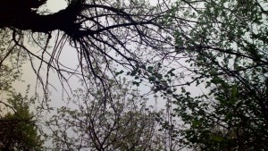 Предстои спад в температурите