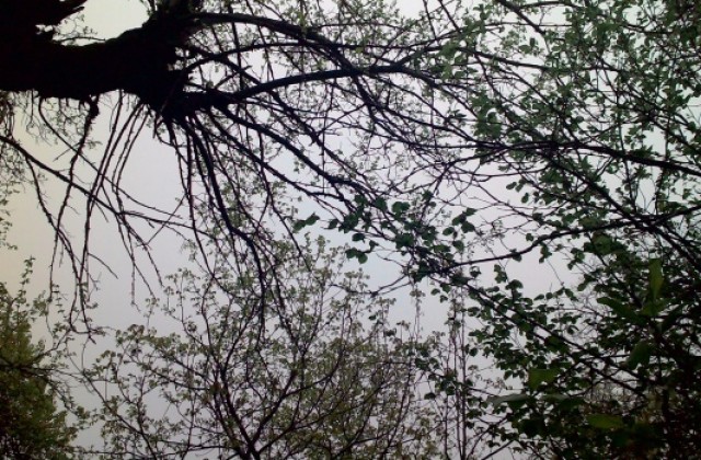 Предстои спад в температурите