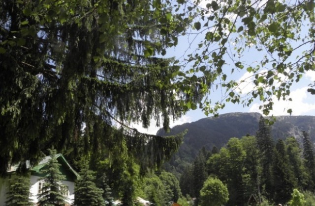 Жълт код: в Западна България за бури, в други 12 области - за жеги