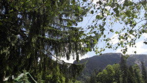 Жълт код за горещини в Сливенска и Ямболска области