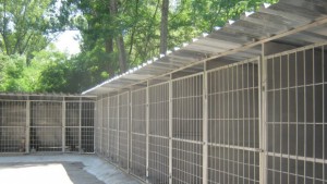 90 от ремонтните дейности в общинският приют за кучета в