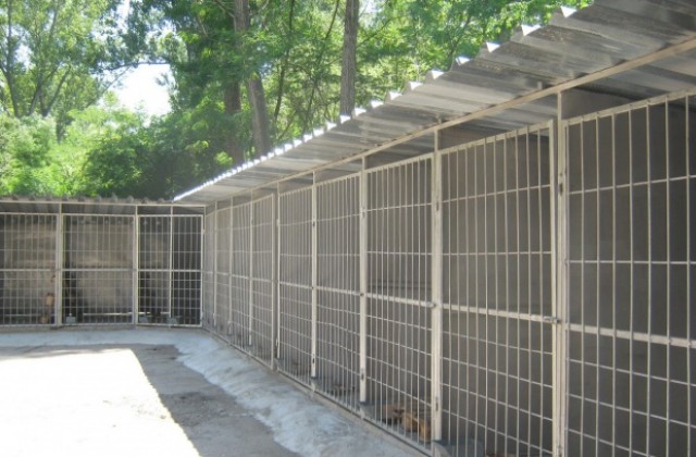 90 % от ремонтните дейности в общинският приют за кучета в Дупница са завършени