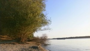 Намериха телата на двамата мъже които потънаха в р Дунав