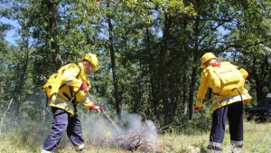 Оборудваха горските стражари със 100 нови пръскачки за гасене на