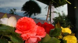 Променлива облачност