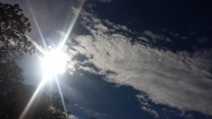 Предупреждават за силен вятър в почти цялата страна