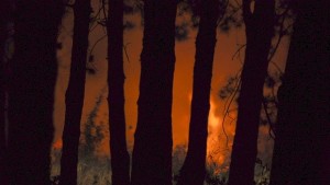 Изгасиха пожара над Жандармерията