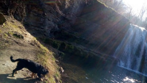 Жълт код за силен вятър