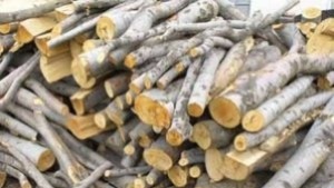 Община Сливен подпомага с дърва за огрев хора с увреждания