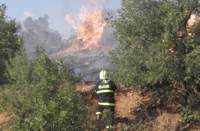 Пламнаха треви и храсти близо до главния път край Благоевград