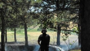 5 пожара по време на жътвата в Лудогорието са гасили