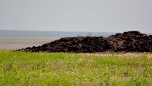 Сигналите за миризмите тръгнаха по институциите