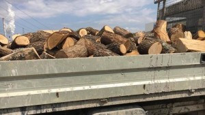 Задържаха 13 кубика незаконна дървесина