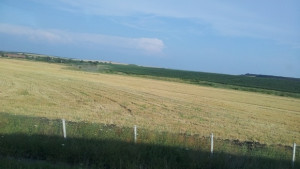 Приключва жътвата на есенниците в Сливенско