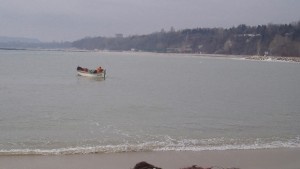 Руска есетра се появи в морето край Варна