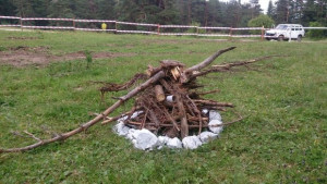 ЮЗДП осигурява места за къмпингуване в горите