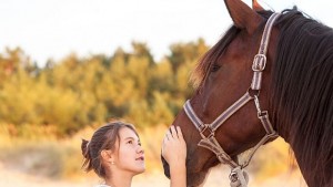 Конете учат на хармония в общуването гонят страхове и агресия