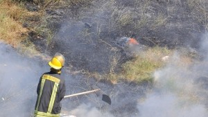Пожар изпепели 10 дка гора над петричкото село Коларово