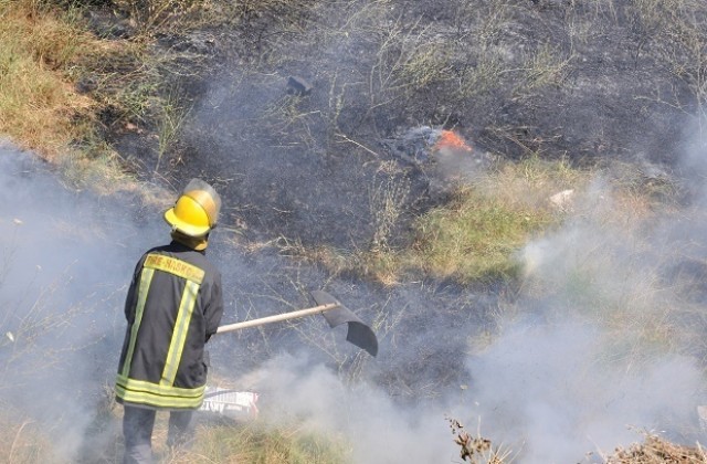 Пожар изпепели 10 дка гора над петричкото село Коларово