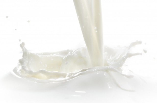 Спряха контрабанден внос от Румъния на козе мляко