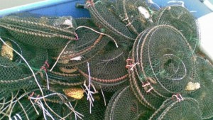 70 коша с нелегално уловени раци иззе ИАРА в Търговищко