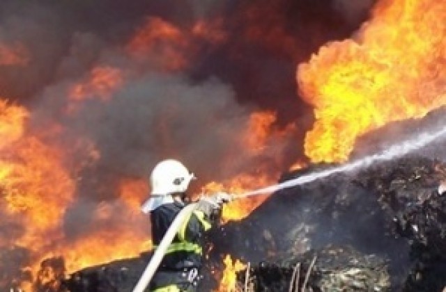 Пожар в гора край селата Челник и Тамарино