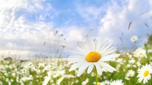 България е лидер в Европа и в топ 3 в