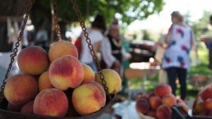 Празникът Златна праскова започва с изложба на Димитър Рачев