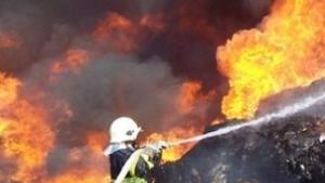 22 декара изгоряха до Пловдив