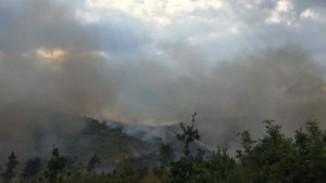 Пожар гори над Лозенец