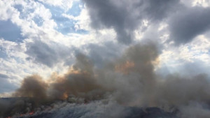 Пожарът над Лозенец е потушен