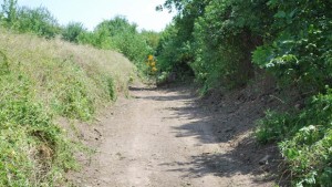 Продължава работата по почистване на дерето в Генерал Тошево