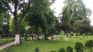 От къде носи името си село Търнава