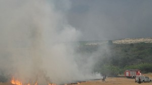 Денонощие с 8 пожара изгоряха 5 дка пшеница