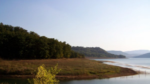 Продават деривацията ЦоневоДевня заради дълг на Напоителни системи