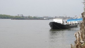 100 лодки от Европа пристигат в Лом