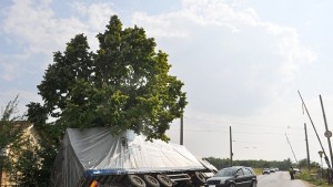 Мантинела ограда и стълб са съборени при катастрофата с ТИР