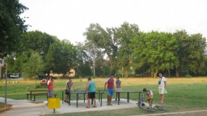 Стадо крави и бикове плаши децата в новия парк на