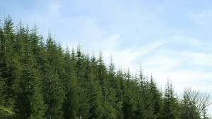 Времето на 30 юли Предимно слънчево