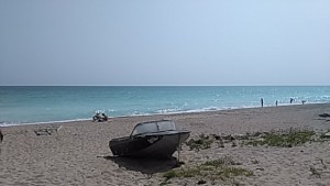 На море Живакът удря 36