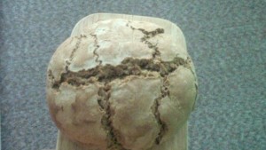 Започва Богородичният пост