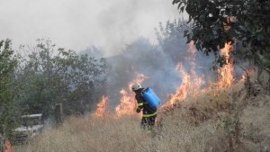 Голям пожар вилнее край Благоевград