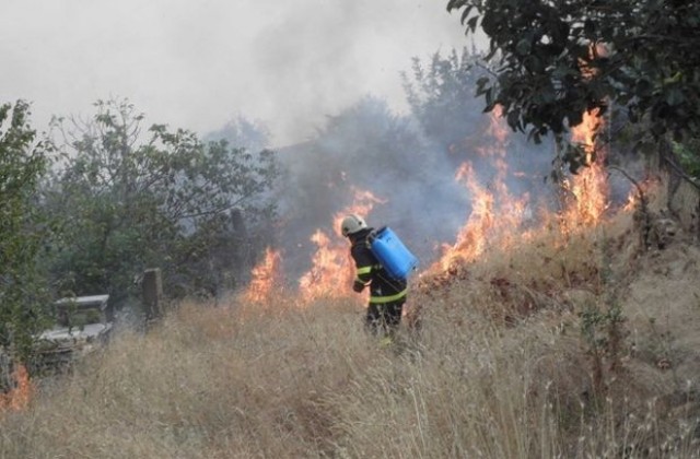 Голям пожар вилнее край Благоевград