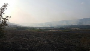 Пожарът край Маджарово вече обхвана 5 000 дка