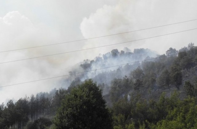 Пожари пламнаха в страната, бедствено положение в Маджарово